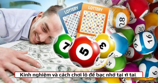 kinh-nghiem-choi-cau-de-bac-nho kinh-nghiem-choi-cau-de-bac-nho